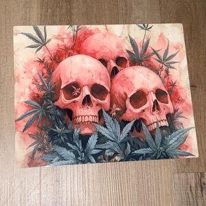 Metal aluminum picture and frame